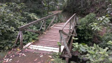 Bridge to the trails